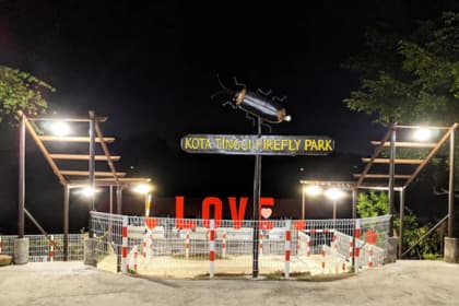 kota tinggi firefly park